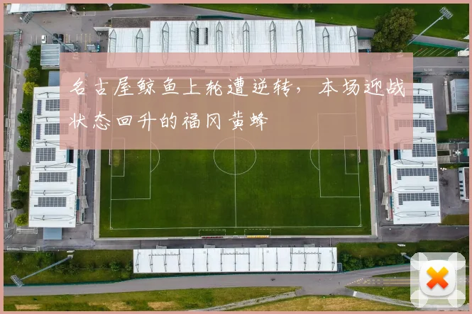 名古屋鲸鱼上轮遭逆转，本场迎战状态回升的福冈黄蜂
